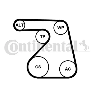 Water Pump + V-ribbed Belt Kit